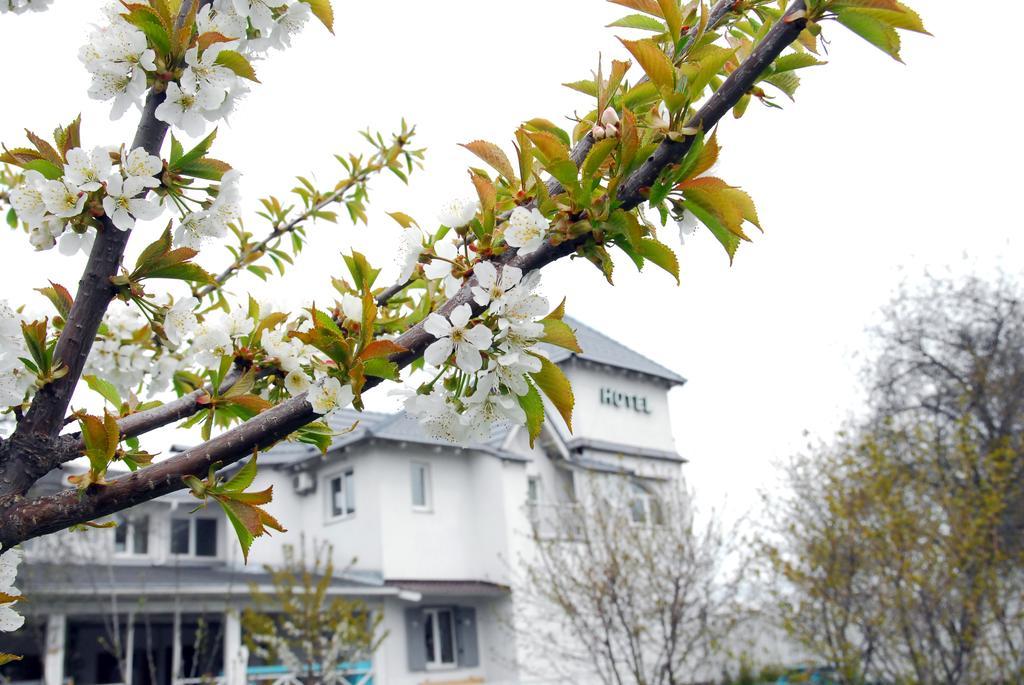 Maison Blanche Ecohousе